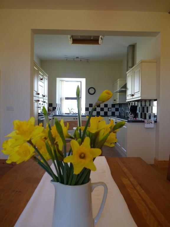 Old Police House Bed & Breakfast Haverfordwest Exterior foto